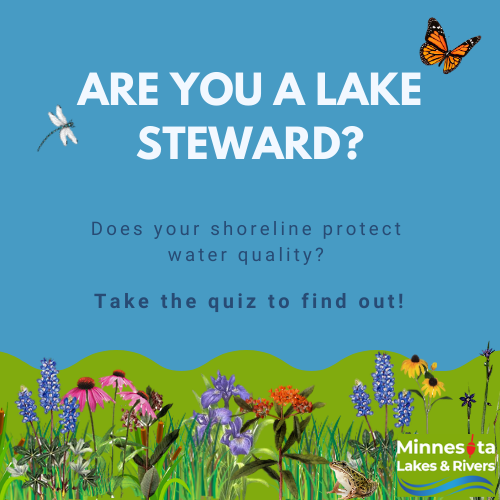 Click here to Take the Lake Steward Quiz